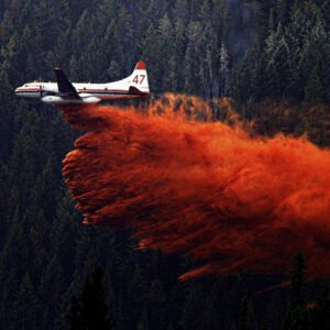 Photography #539 from Fire Fighting Aircraft