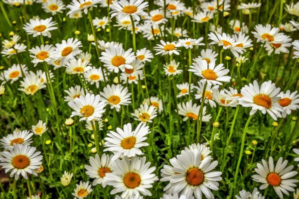 1011  Think Spring