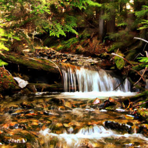 793 Water