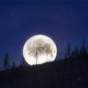 7007 Twinkling Moonlight
