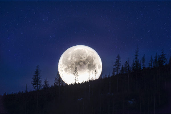 7007 Twinkling Moonlight