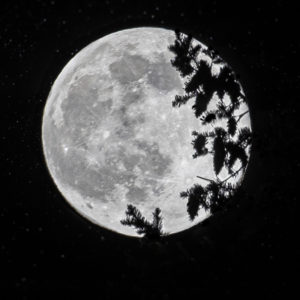 7001 Forever Moon