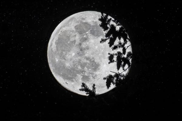 7001 Forever Moon