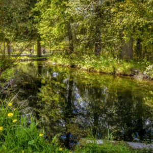 2013 Nature Dreams