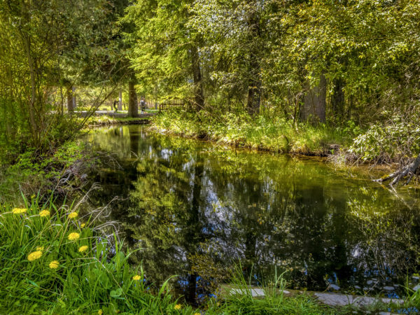 2013 Nature Dreams