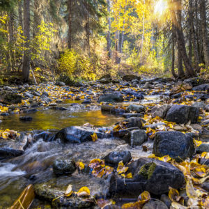 4001 -River of Gold