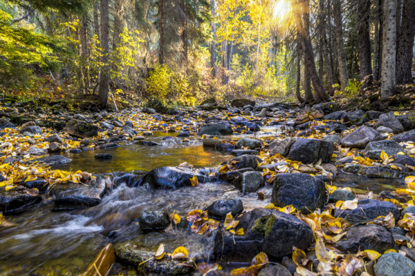 4001 -River of Gold