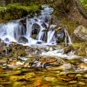 2003 -Woodland Waterfall