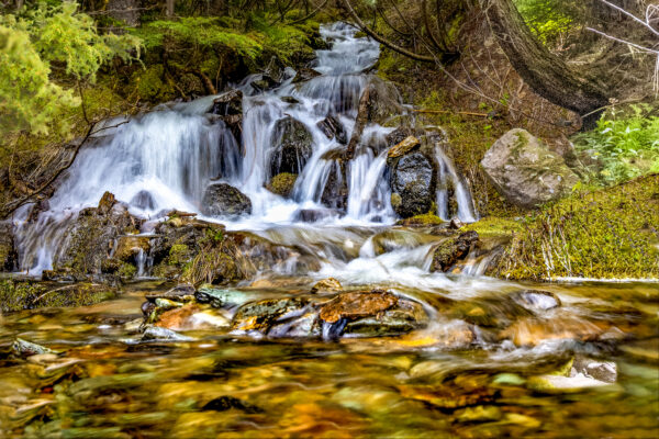2003 -Woodland Waterfall