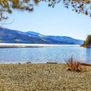 2015 Moyie Sunshine