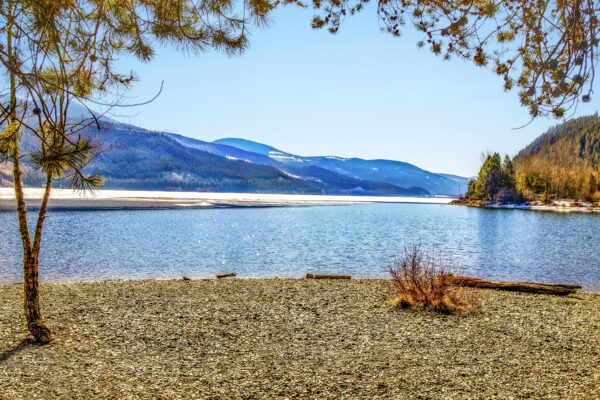 2015 Moyie Sunshine