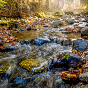 2018 Autumn on Tate Creek