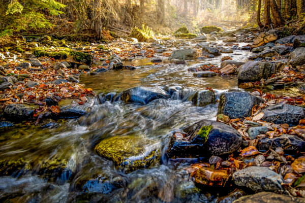2018 Autumn on Tate Creek