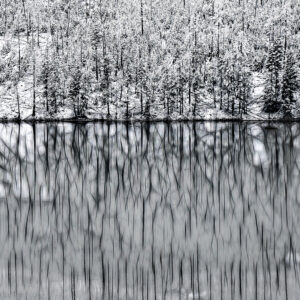 2022 Lines of Reflections