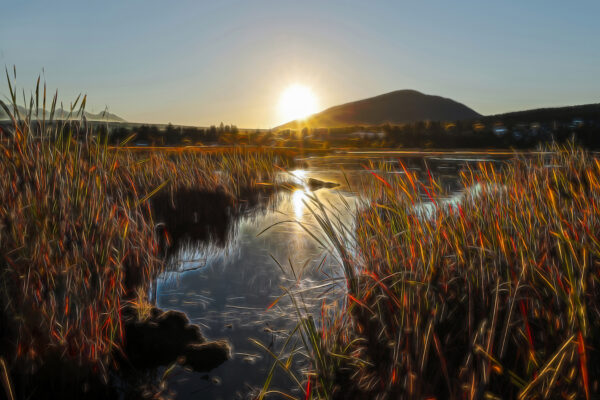 2024 Golden Sunrise