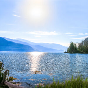 2026 Moyie Moment