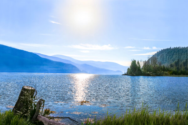 2026 Moyie Moment