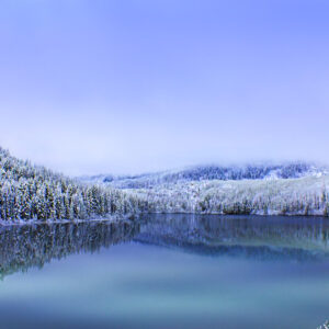 2031 Tranquility