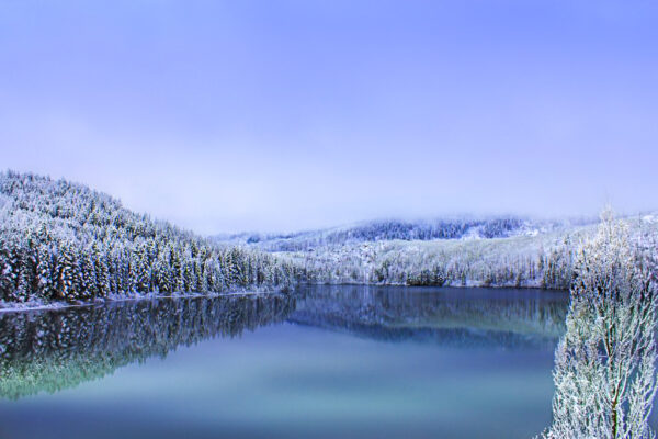 2031 Tranquility