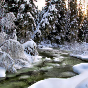2036 Winter Bliss