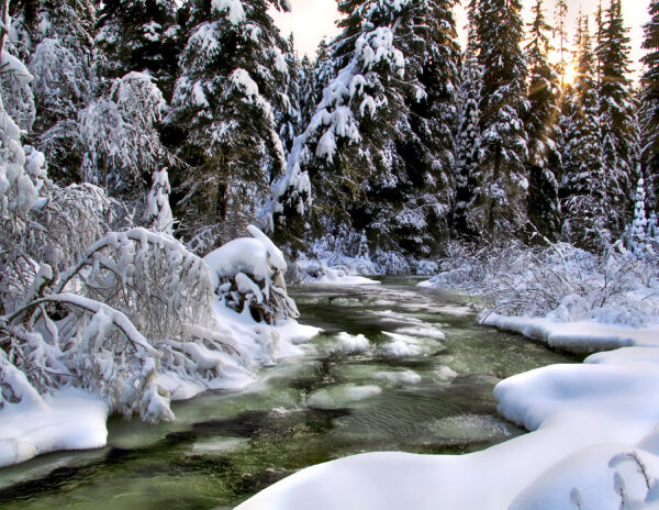 2036 Winter Bliss