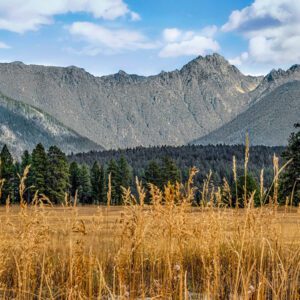 3026 Golden Fields