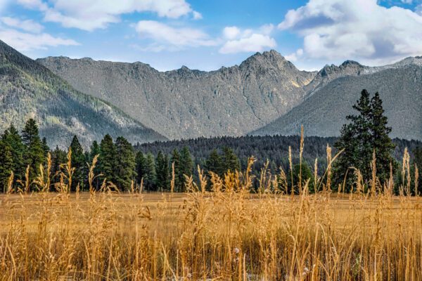 3026 Golden Fields