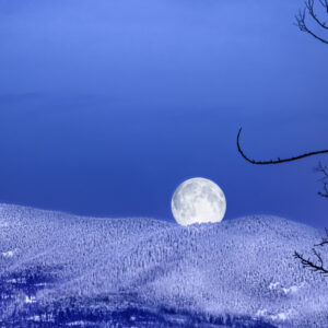 3029 Lamb Creek Moon Shine