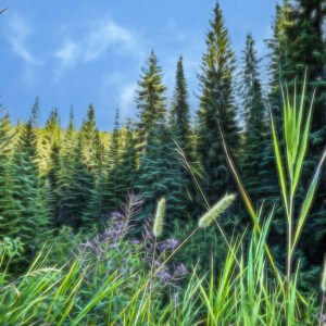 1016 Shades of Green