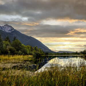 2043 Tamarack Lake
