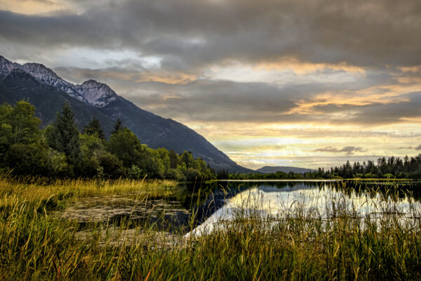2043 Tamarack Lake