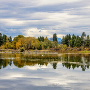 2044 Wasa Wetlands