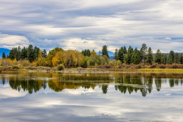 2044 Wasa Wetlands
