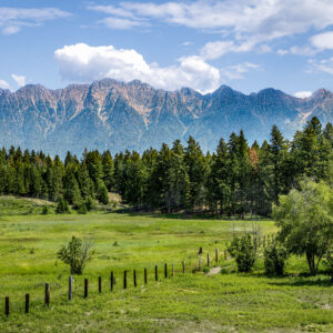 3016 Country Living