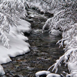 4022 Whispering Water
