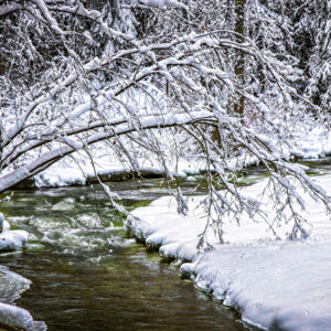 4005 Snowy River