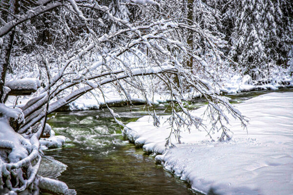 4005 Snowy River