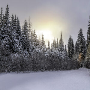 4010 Winter Bliss