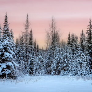 4012 Winter