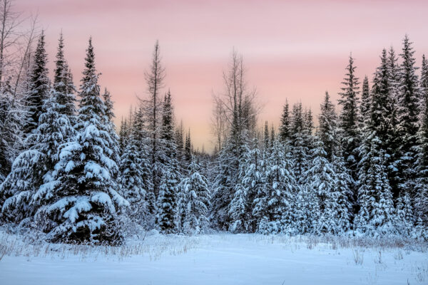 4012 Winter