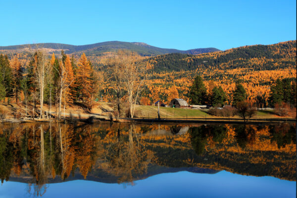 4013 Autumn Country Life