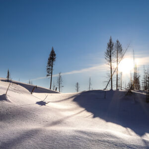 4014 February Brilliance