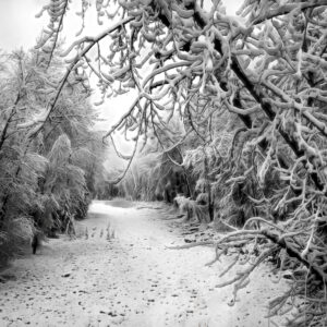 4017 Wonders of Winter