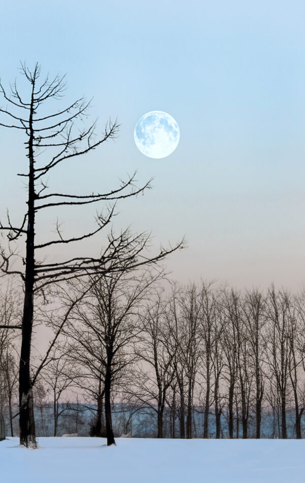 4018 Moon Shine