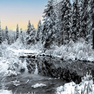 4020 Frozen Reflections
