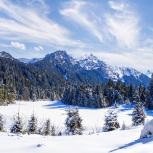 4026 Back Country Adventures