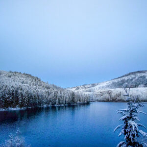 4030 Winter Greetings