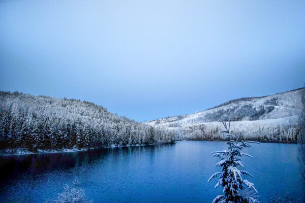 4030 Winter Greetings