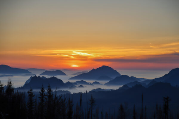 5003 Dreamy Sunset