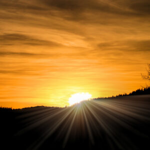 5004 Golden Sunset